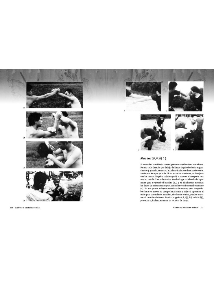 Togakure ryu Ninpo Taijutsu. Por Masaaki Hatsumi
