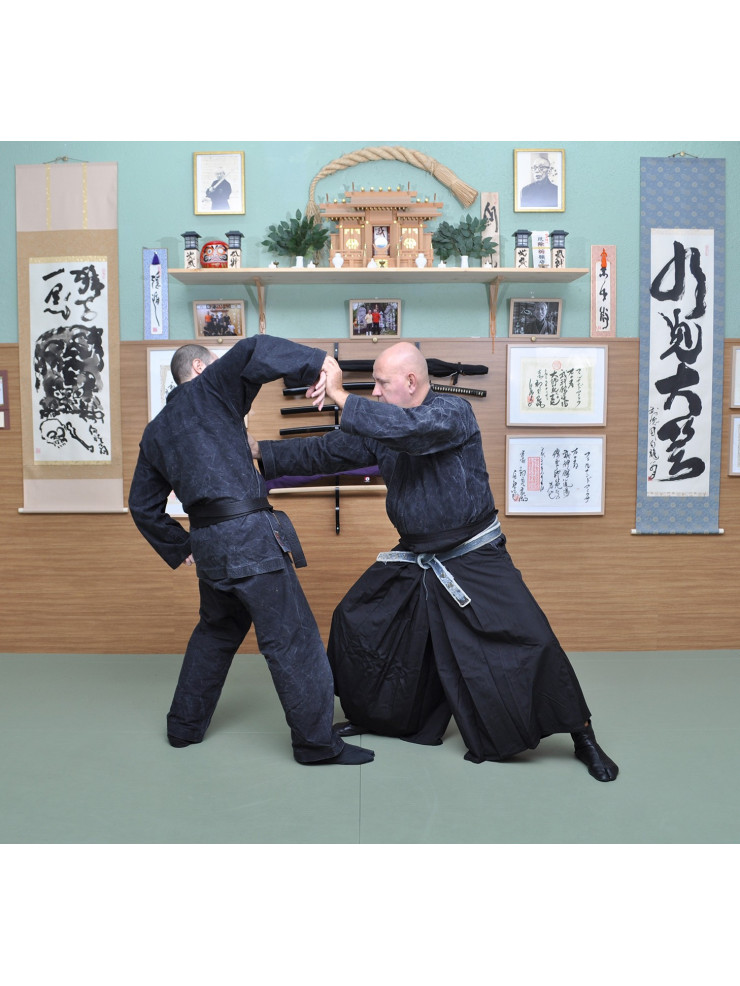 Curso Shinden Fudo ryu (Jutaijutsu) Shoden no kata (Barcelona,17/18 de diciembre)