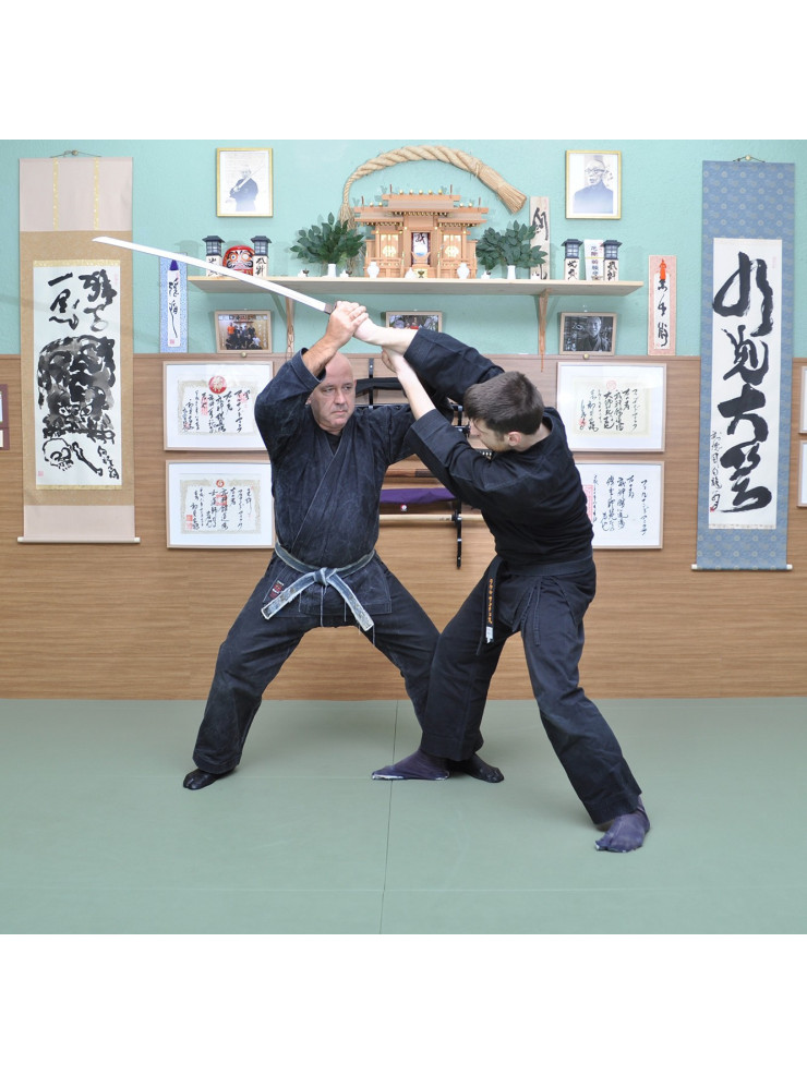Curso Shinden Fudo ryu (Jutaijutsu) Shoden no kata (Barcelona,17/18 de diciembre)