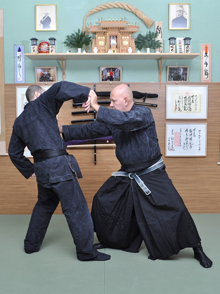Shinden Fudo ryu Dakentaijutsu y Jutaijutsu (Ed. Castellano). Por Fernando Aixa