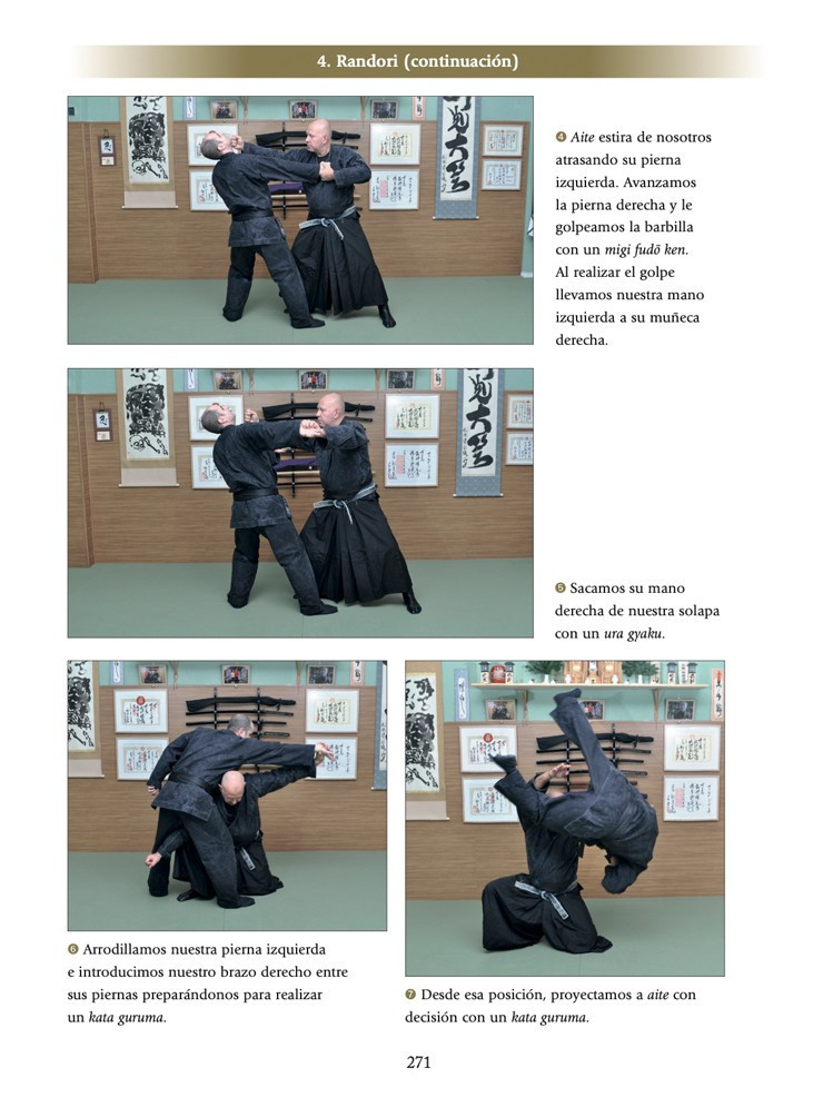 Shinden Fudo ryu Dakentaijutsu y Jutaijutsu (Ed. Castellano). Por Fernando Aixa