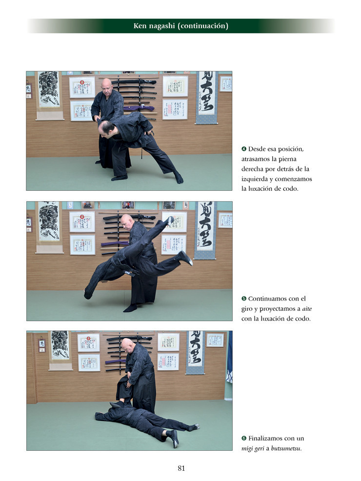 Takagi Yoshin ryu jutaijutsu (ed. castellana). Por Fernando Aixa