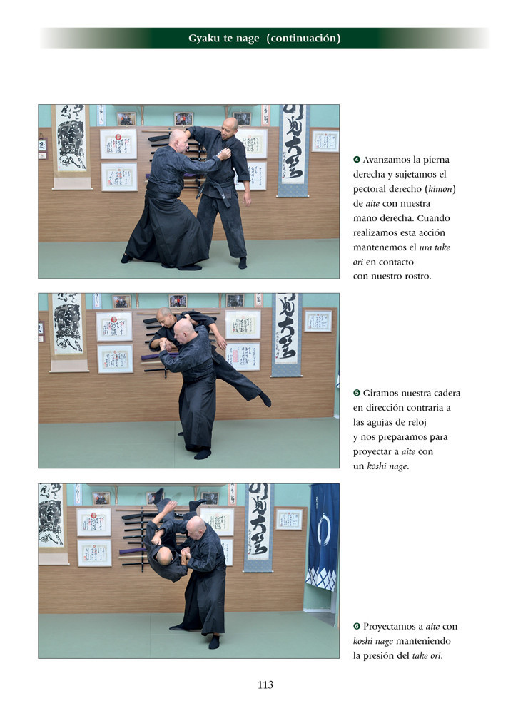 Takagi Yoshin ryu jutaijutsu (ed. castellana). Por Fernando Aixa