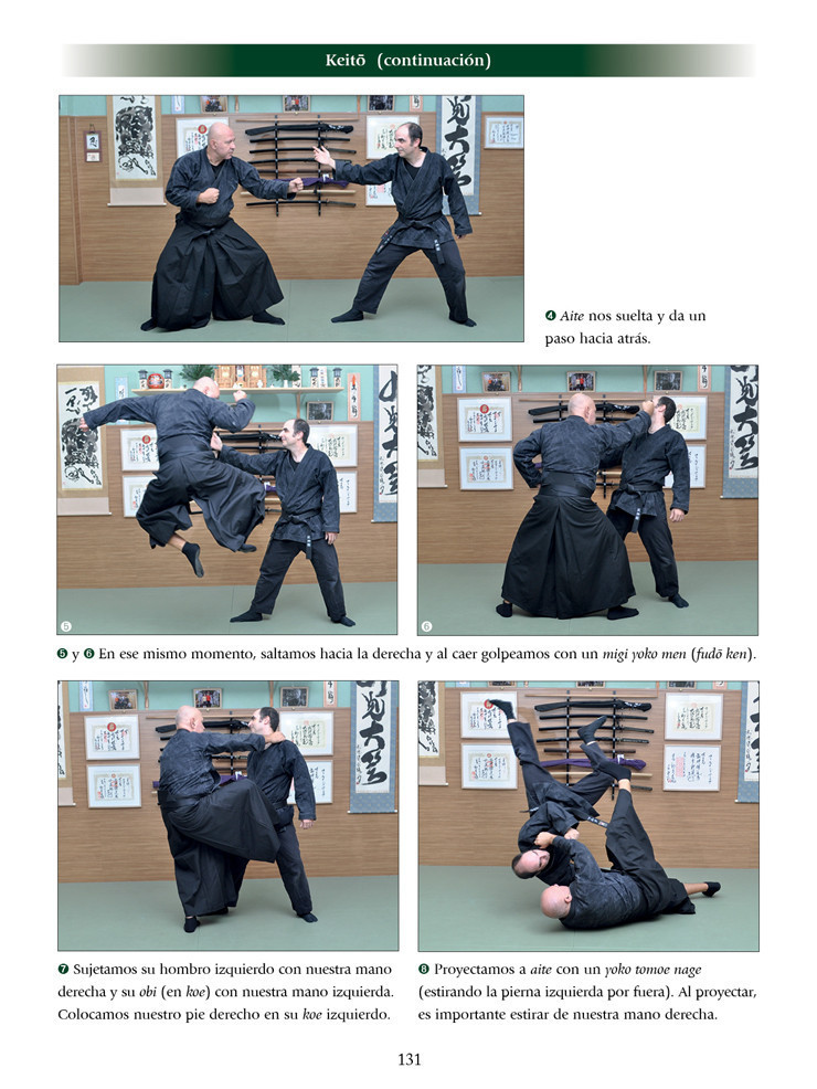 Takagi Yoshin ryu jutaijutsu (ed. castellana). Por Fernando Aixa