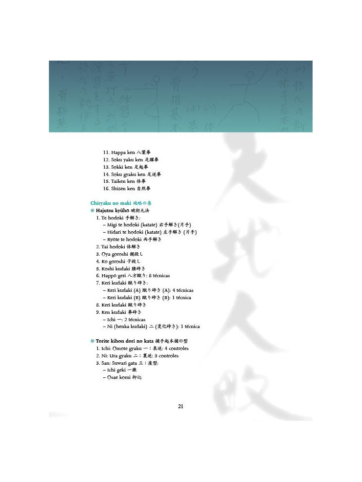 Tenchijin Ryaku no Maki. Notas de entrenamiento en Japón. Por Fernando Aixa