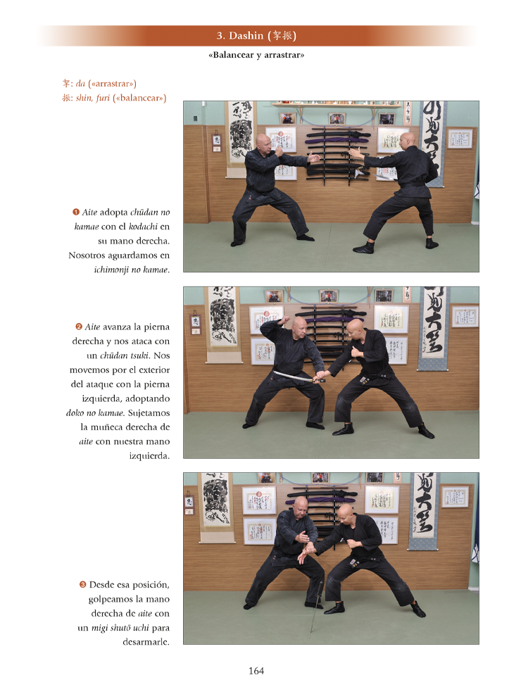 Gyokko ryu Kosshijutsu (Edición en castellano). Por Fernando Aixa