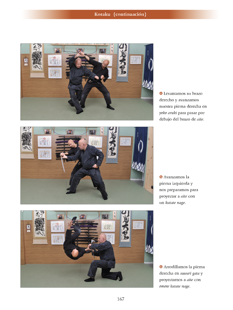 Gyokko ryu Kosshijutsu (Edición en castellano). Por Fernando Aixa