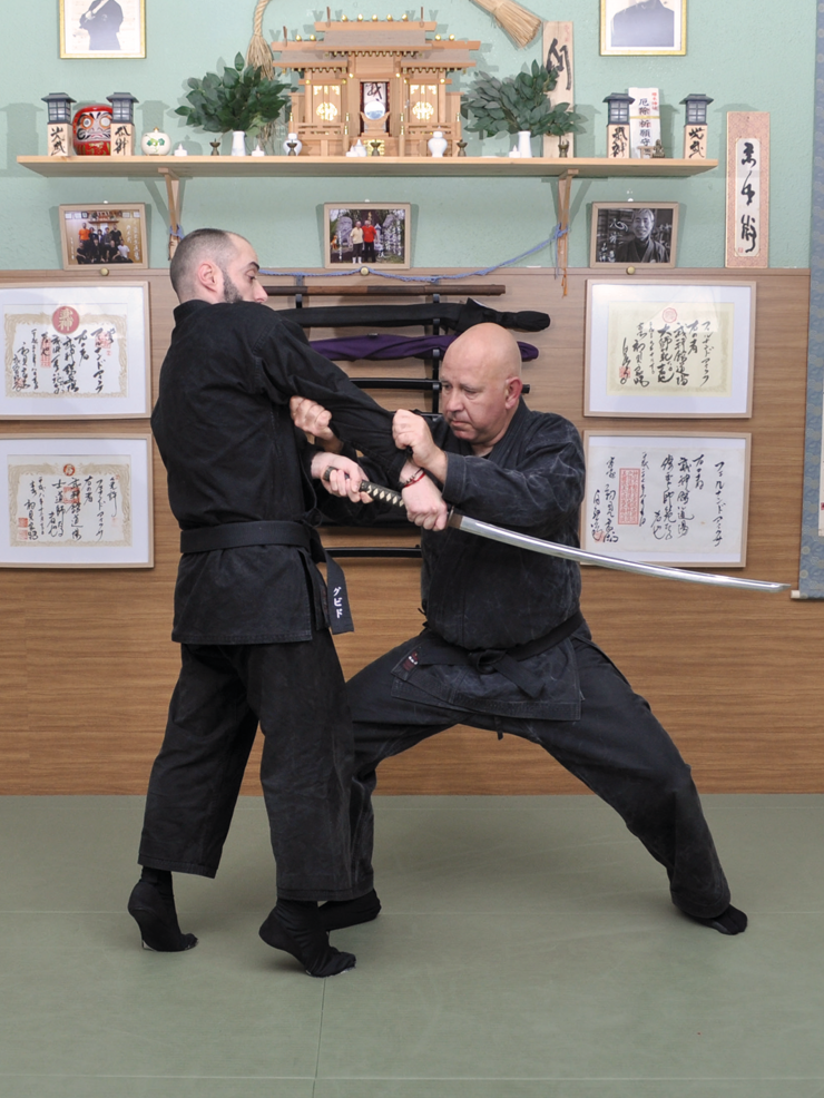 Gyokko ryu Kosshijutsu (Edición en castellano). Por Fernando Aixa