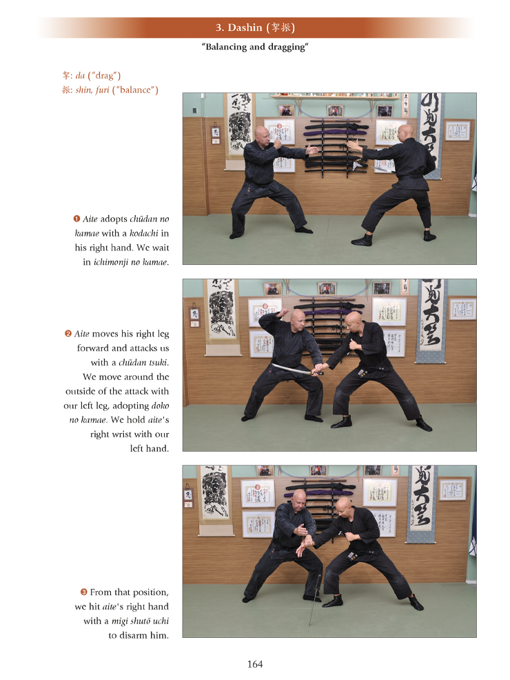 Gyokko ryu Kosshijutsu (English Edition). By Fernando Aixa