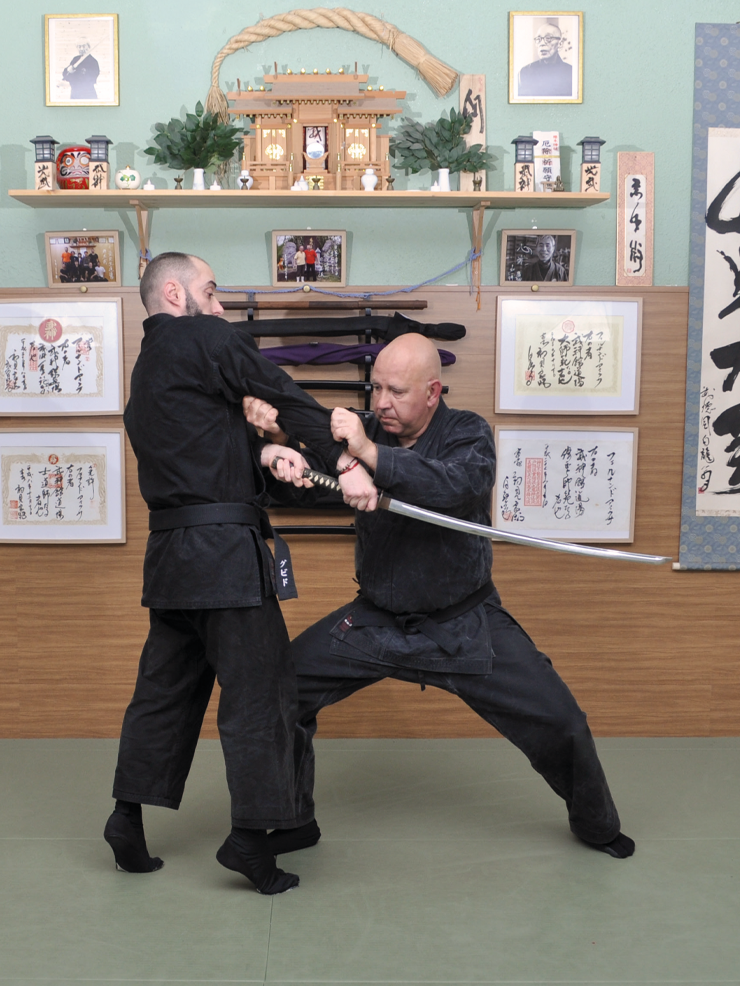 Gyokko ryu Kosshijutsu (English Edition). By Fernando Aixa