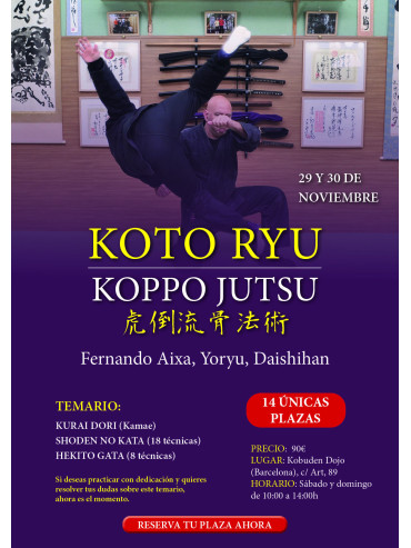 Seminario Koto ryu Koppo jutsu. Por Fernando Aixa, 29 y 30 de noviembre