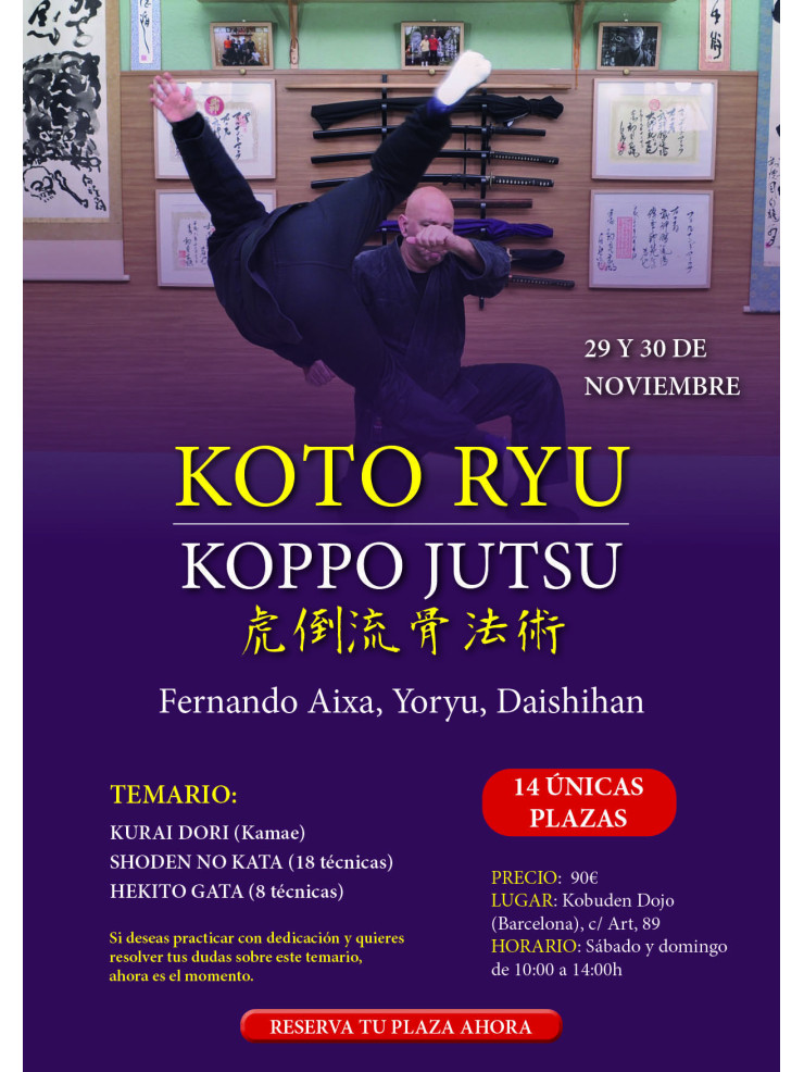 Seminario Koto ryu Koppo jutsu. Por Fernando Aixa, 29 y 30 de noviembre