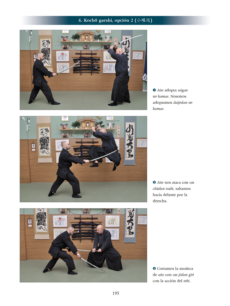 Kukishinden ryu Happo Biken (Ed. Castellano). Por Fernando Aixa