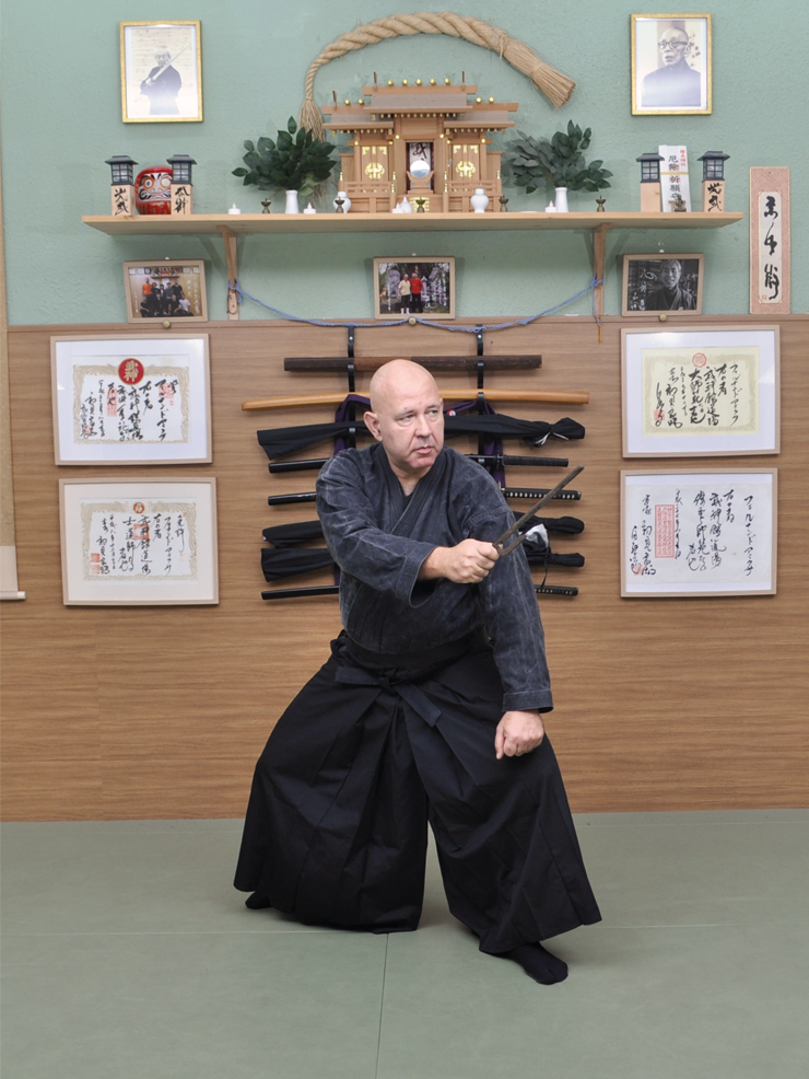 Kukishinden ryu Happo Biken (English Edition). By Fernando Aixa